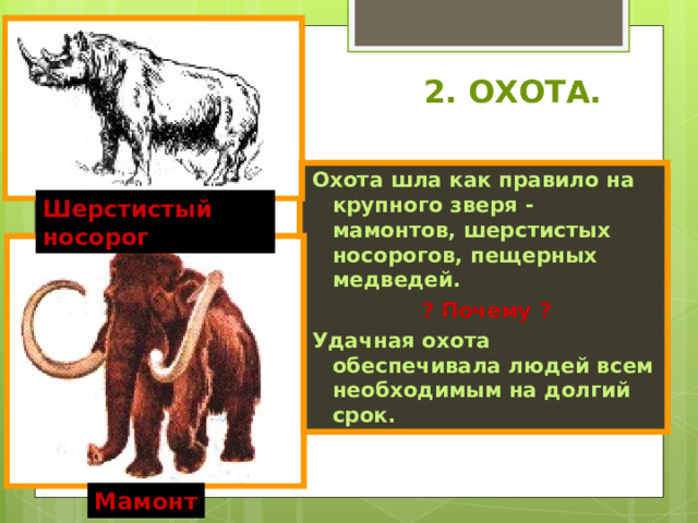 2.  ОХОТА. Охота шла как правило на крупного зверя  -  мамонтов,  шерстистых носорогов,  пещерных медведей. ? Почему ? Удачная охота обеспечивала людей всем необходимым на долгий срок. Шерстистый носорог Мамонт 