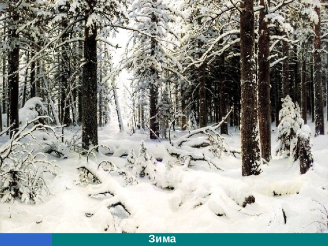 Зима 
