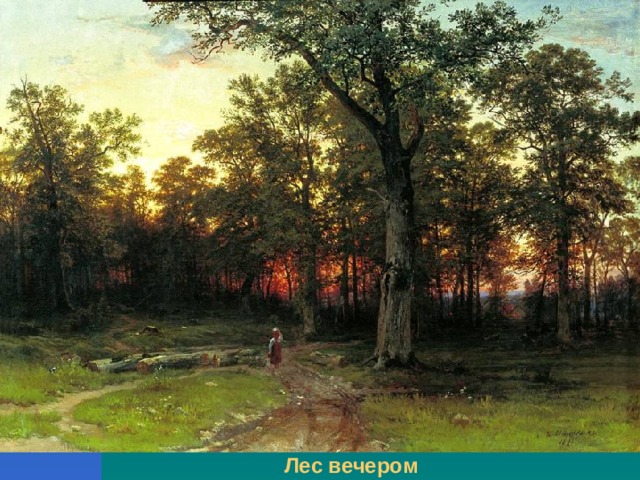 Лес вечером 