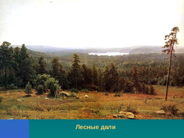 Лесные дали 