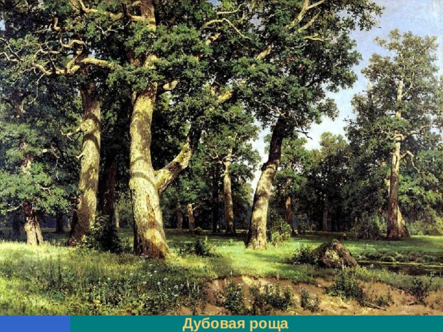 Дубовая роща  