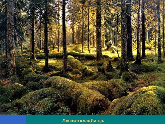 Лесное кладбище. 
