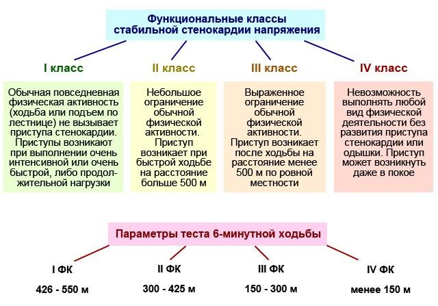 Функциональный класс 0. Стабильная стенокардия классификация функциональные классы. Стабильная стенокардия напряжения функциональные классы. Стенокардия напряжения II функциональный класс. Стенокардия напряжения 4 функциональный класс.