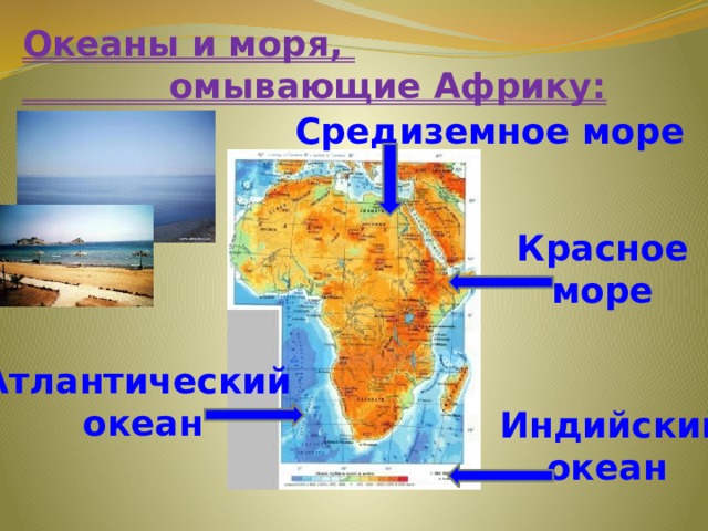 Океаны и моря,  омывающие Африку: Средиземное море Красное море Атлантический океан Индийский океан 