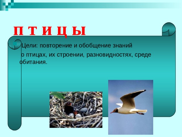    п т и ц ы  Цели: повторение и обобщение знаний  о птицах, их строении, разновидностях, среде обитания. 