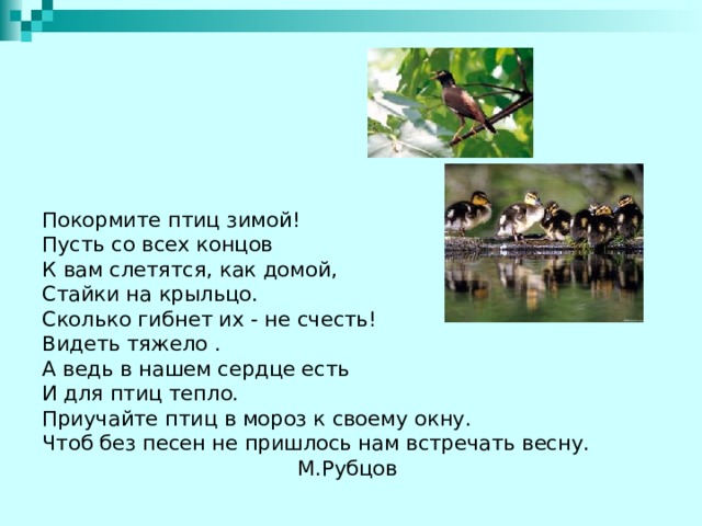 Покормите птиц зимой! Пусть со всех концов К вам слетятся, как домой, Стайки на крыльцо. Сколько гибнет их - не счесть! Видеть тяжело . А ведь в нашем сердце есть И для птиц тепло. Приучайте птиц в мороз к своему окну. Чтоб без песен не пришлось нам встречать весну.  М.Рубцов 