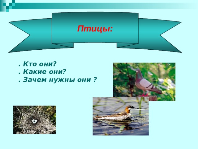 Птицы:   . Кто они? . Какие они? . Зачем нужны они ?  