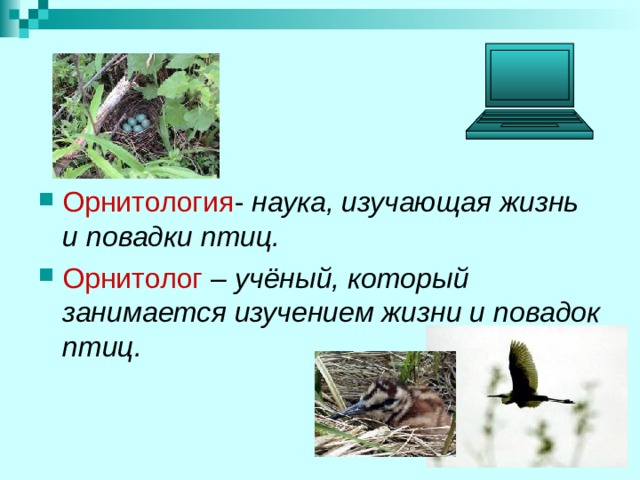 Орнитология наука, изучающая жизнь и повадки птиц. Орнитолог учёный, который занимается изучением жизни и повадок птиц. 