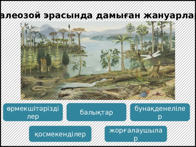 Палеозой эрасында дамыған жануарлар: балықтар өрмекшітәрізділер бунақденелілер қосмекенділер жорғалаушылар  