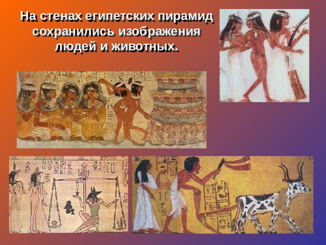 На стенах египетских пирамид сохранились изображения людей и животных. 