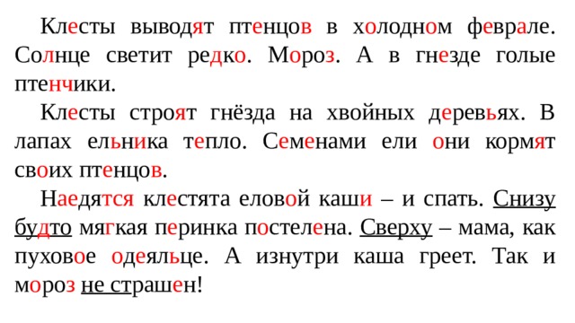 Кл е сты вывод я т пт е нцо в в х о лодн о м ф е вр а ле. Со л нце светит ре д к о . М о ро з . А в гн е зде голые пте нч ики. Кл е сты стро я т гнёзда на хвойных д е рев ь ях. В лапах ел ь н и ка т е пло. С е м е нами ели о ни корм я т св о их пт е нцо в . Н ае дя тся кл е стята елов о й каш и – и спать. Снизу  бу д то мя г кая п е ринка п о стел е на. Сверху – мама, как пухов о е о д е ял ь це. А изнутри каша греет. Так и м о ро з  не ст раш е н! 