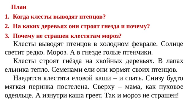  План Когда клесты выводят птенцов? На каких деревьях они строят гнезда и почему? Почему не страшен клестятам мороз? Клесты выводят птенцов в холодном феврале. Солнце светит редко. Мороз. А в гнезде голые птенчики. Клесты строят гнёзда на хвойных деревьях. В лапах ельника тепло. Семенами ели они кормят своих птенцов. Наедятся клестята еловой каши – и спать. Снизу будто мягкая перинка постелена. Сверху – мама, как пуховое одеяльце. А изнутри каша греет. Так и мороз не страшен! 