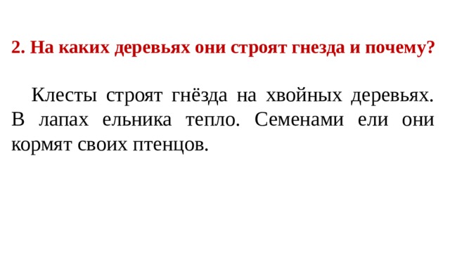 2. На каких деревьях они строят гнезда и почему? Клесты строят гнёзда на хвойных деревьях. В лапах ельника тепло. Семенами ели они кормят своих птенцов. 