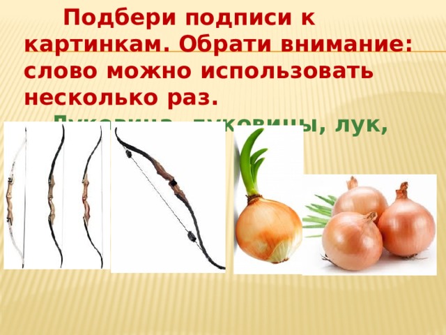  Подбери подписи к картинкам. Обрати внимание: слово можно использовать несколько раз.  Луковица, луковицы, лук, луки 