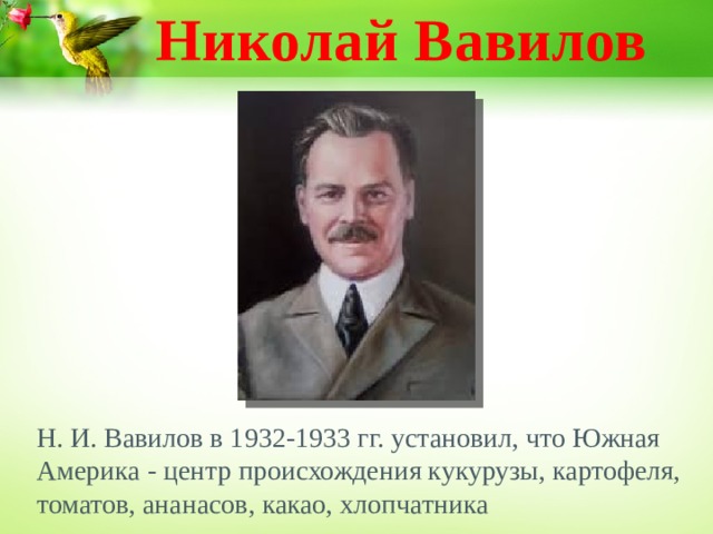 Николай Вавилов Н. И. Вавилов в 1932-1933 гг. установил, что Южная Америка - центр происхождения кукурузы, картофеля, томатов, ананасов, какао, хлопчатника