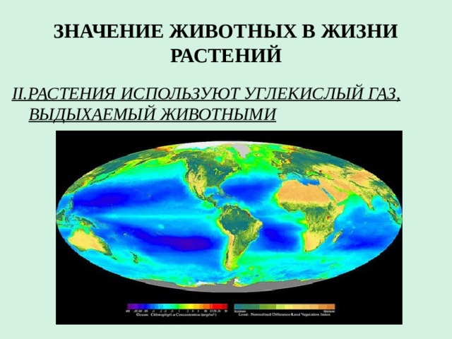 какие существуют связи между растениями и животными. Смотреть фото какие существуют связи между растениями и животными. Смотреть картинку какие существуют связи между растениями и животными. Картинка про какие существуют связи между растениями и животными. Фото какие существуют связи между растениями и животными