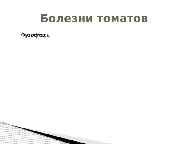 Болезни томатов Фитофтора Фузариоз 