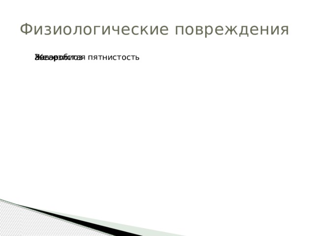 Физиологические повреждения Загар Железистая пятнистость анаэробиоз 
