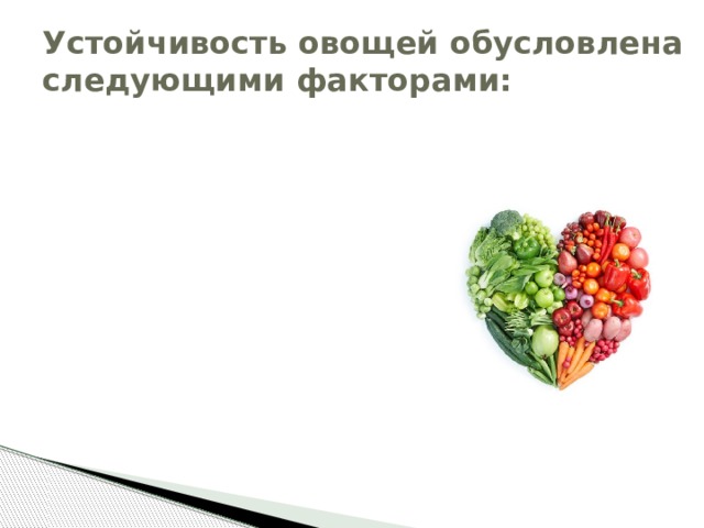 Устойчивость овощей обусловлена следующими факторами: Химический состав (наличие гликозидов, фитонцидов, эфирных масел) Плотность тканей и толщины кожицы Сортовые особенности овощей Степень зрелости 