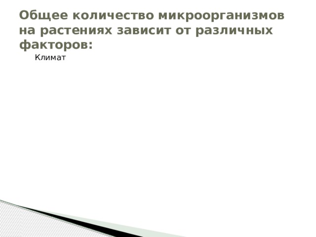 Общее количество микроорганизмов на растениях зависит от различных факторов: Климат Климат Расположение культивируемой части Расположение культивируемой части Качество воды Качество воды Наличие насекомых и грызунов Наличие насекомых и грызунов Качество воздуха Качество воздуха Качество удобрений Качество удобрений 
