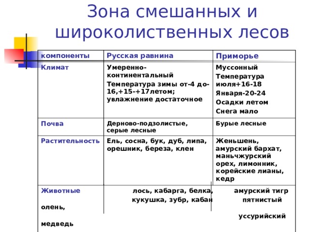 План описания природной зоны смешанные и широколиственные леса