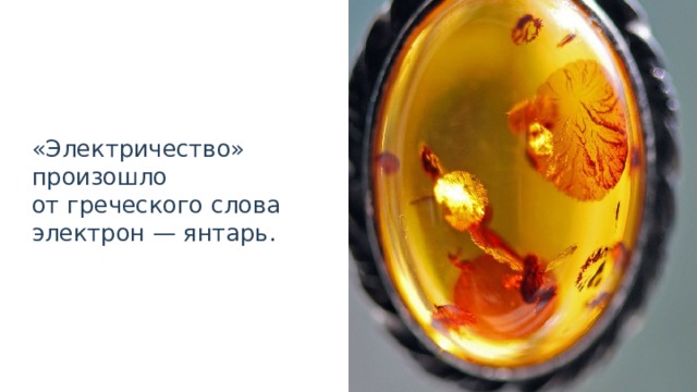 «Электричество» произошло от греческого слова электрон — янтарь. 