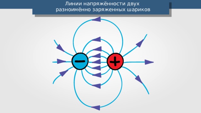 Напряженность электрического поля силовые линии 10 класс презентация