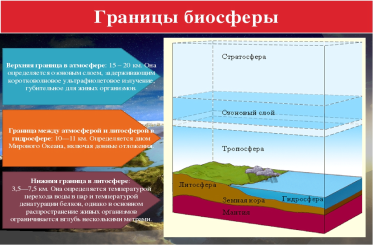 Влияние человека на оболочки земли