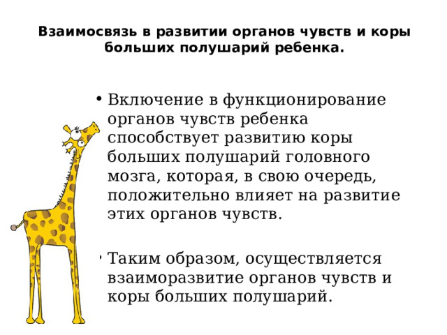 Взаимосвязь в развитии органов чувств и коры больших полушарий ребенка.   Включение в функционирование органов чувств ребенка способствует развитию коры больших полушарий головного мозга, которая, в свою очередь, положительно влияет на развитие этих органов чувств. Таким образом, осуществляется взаиморазвитие органов чувств и коры больших полушарий. 