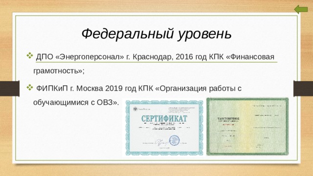 Федеральный уровень  ДПО «Энергоперсонал» г. Краснодар, 2016 год КПК «Финансовая грамотность»;  ФИПКиП г. Москва 2019 год КПК «Организация работы с обучающимися с ОВЗ». 