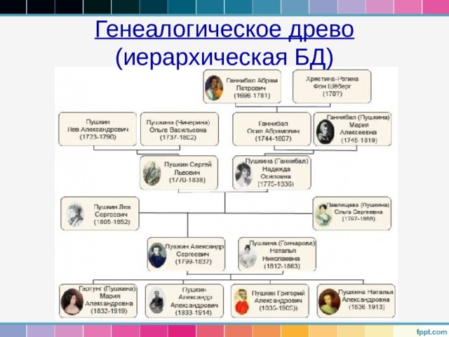Генеалогическое древо  (иерархическая БД) 