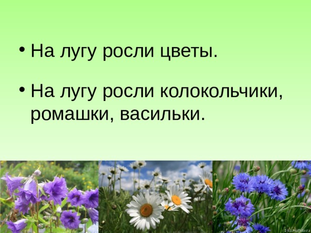 На лугу росли цветы. На лугу росли колокольчики, ромашки, васильки. 