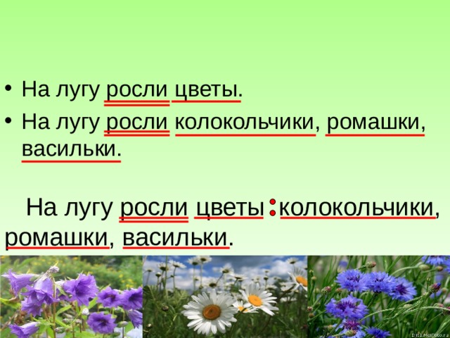 На лугу росли цветы. На лугу росли колокольчики, ромашки, васильки.  На лугу росли цветы колокольчики, ромашки, васильки. [  ,  ,    ] 