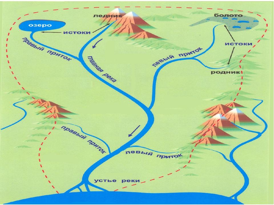 Схема строения речной системы