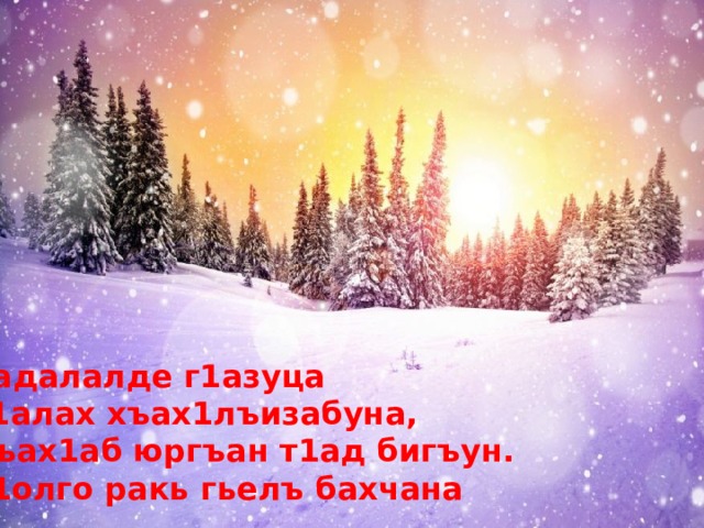 Радалалде г1азуца Г1алах хъах1лъизабуна, Хъах1аб юргъан т1ад бигъун. Т1олго ракь гьелъ бахчана 