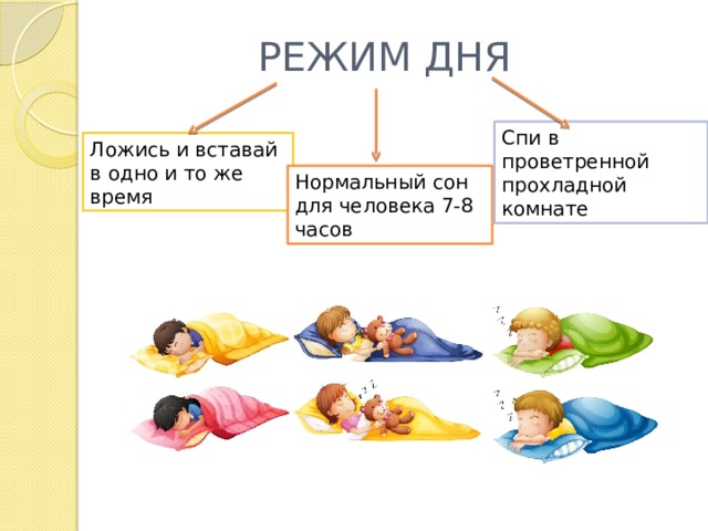 Переход на один сон. Режим дня сон. Нормальный сон для человека. Режим дня с одним сном. График на весь день сна.