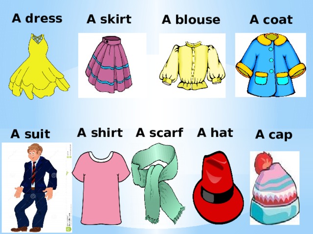 A dress A skirt A blouse A coat A hat A scarf A shirt A suit A cap 