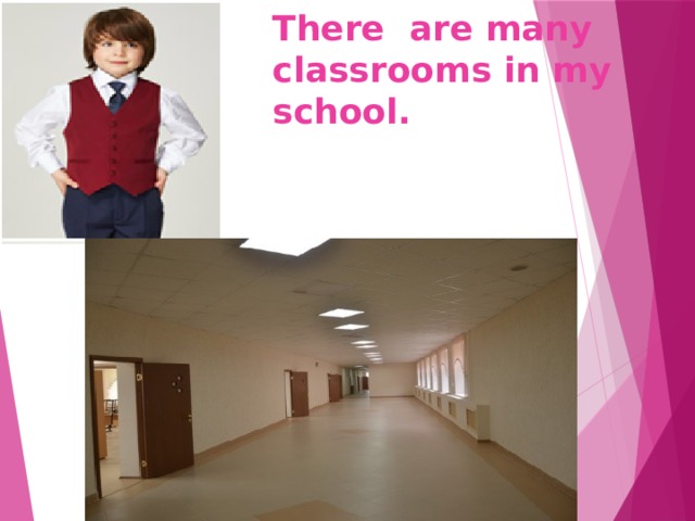 There are many classrooms in my school. 