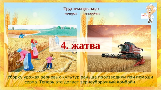 Труд земледельца:   «вчера»    «сегодня» 4. жатва Уборку урожая зерновых культур раньше производили при помощи серпа. Теперь это делает зерноуборочный комбайн. 