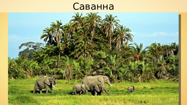 Саванна 