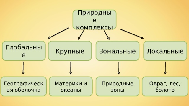 Природные комплексы Глобальные Локальные Зональные Крупные Географическая оболочка Материки и океаны Природные зоны Овраг, лес, болото 