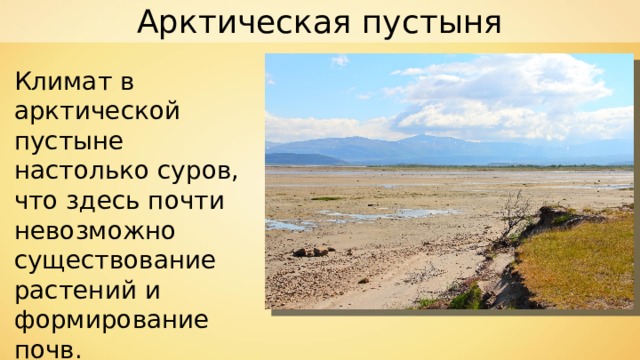 Арктическая пустыня Климат в арктической пустыне настолько суров, что здесь почти невозможно существование растений и формирование почв. 