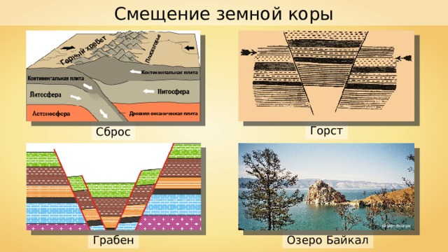 Какое смещение земной коры показано на рисунке