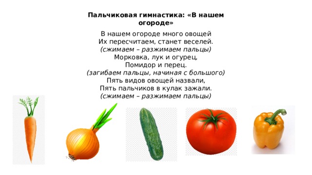 Пальчиковая гимнастика: «В нашем огороде» В нашем огороде много овощей Их пересчитаем, станет веселей. (сжимаем – разжимаем пальцы) Морковка, лук и огурец, Помидор и перец. (загибаем пальцы, начиная с большого) Пять видов овощей назвали, Пять пальчиков в кулак зажали. (сжимаем – разжимаем пальцы) 