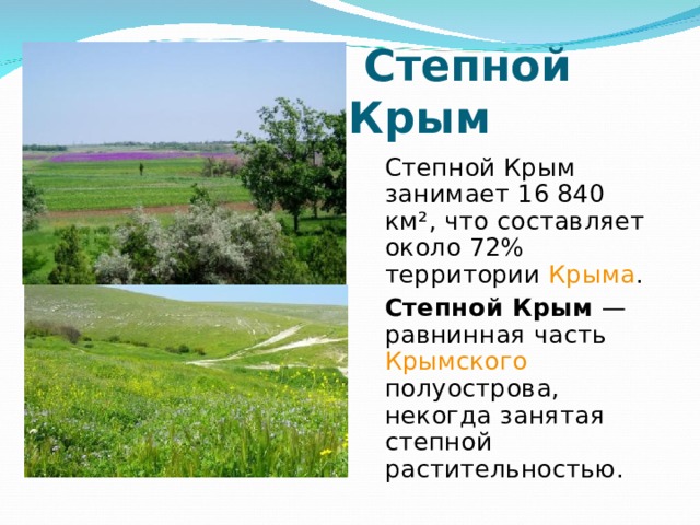  Степной Крым Степной Крым занимает 16 840 км², что составляет около 72% территории Крыма . Степной Крым — равнинная часть Крымского полуострова, некогда занятая степной растительностью. 