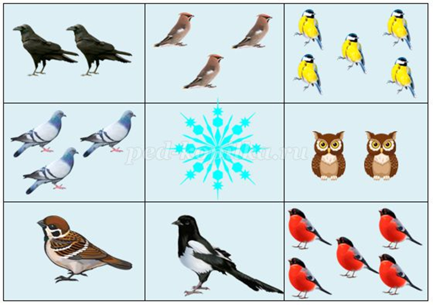 Зимующие птицы для дошкольников. Зимующие птицы карточки. Зимующие птицы карточки для детей в детском саду. Карточки с изображением зимующих птиц.