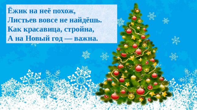 Ёжик на неё похож,  Листьев вовсе не найдёшь.  Как красавица, стройна,  А на Новый год — важна. 