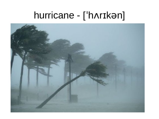 hurricane - [ˈhʌrɪkən] 