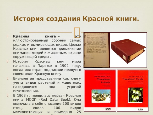 Красная книга рт презентация