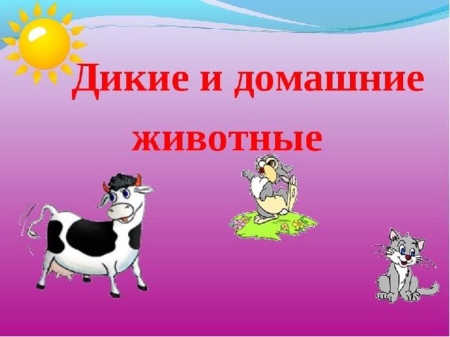 Проект по окружающему миру домашние животные